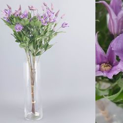 Bouquet de clématites
