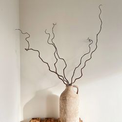 Ramo de Corylus Contorta