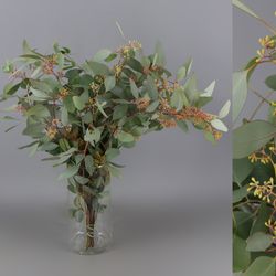 Ramo de Eucaliptus Populus