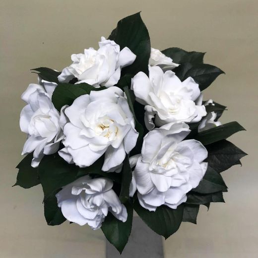 Ramo de Gardenia Preservado