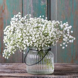 Ramo de Gypsophila Paniculata