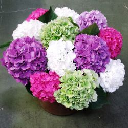 Ramo de Hortensia