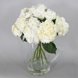 Ramo de Hortensias Mathew
