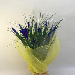 Ramo de Iris