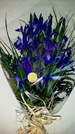 Ramo de Iris Funerario