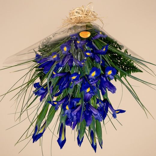 Bouquet d'iris funéraires