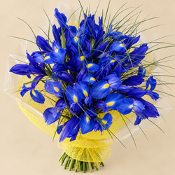 Ramo de Iris