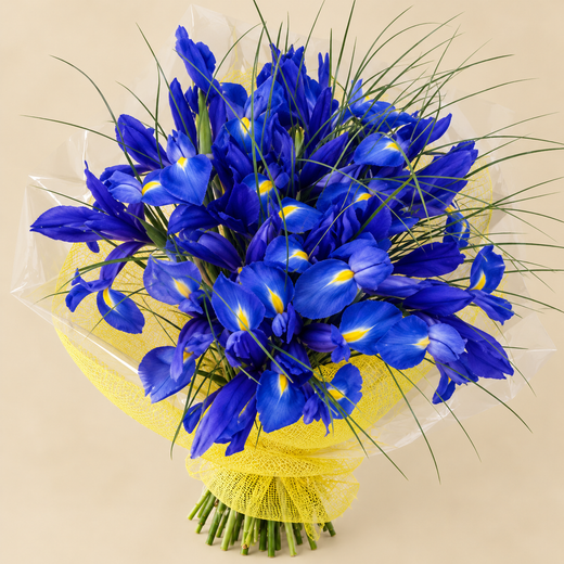 Bouquet d'iris