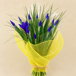Ramo de Iris