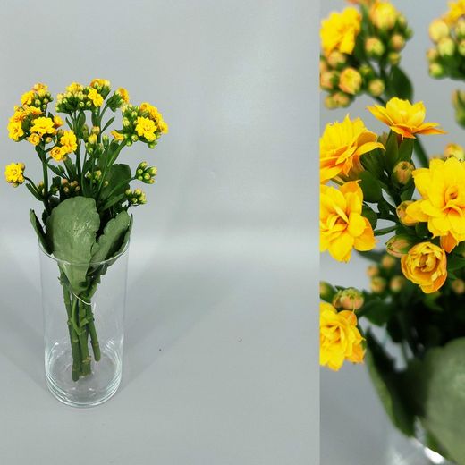 Bouquet de Kalanchoé