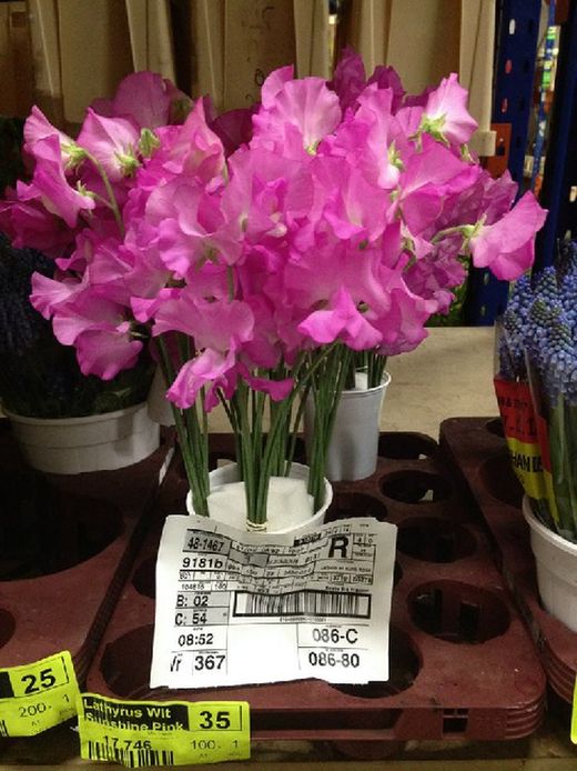 Bouquet de Lathyrus