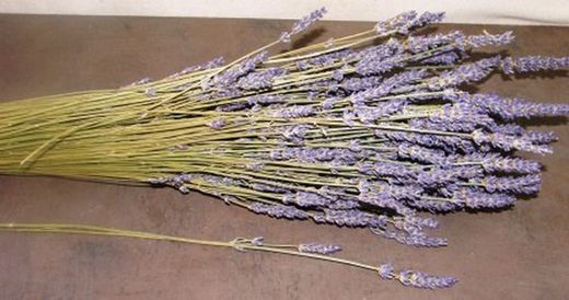 Ramo de Lavanda (Espliego) 3 unidades