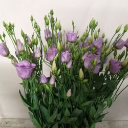 Ramo de Lisianthus