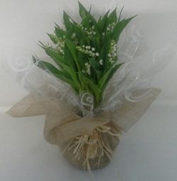 Ramo de Muguet 25 Tallos