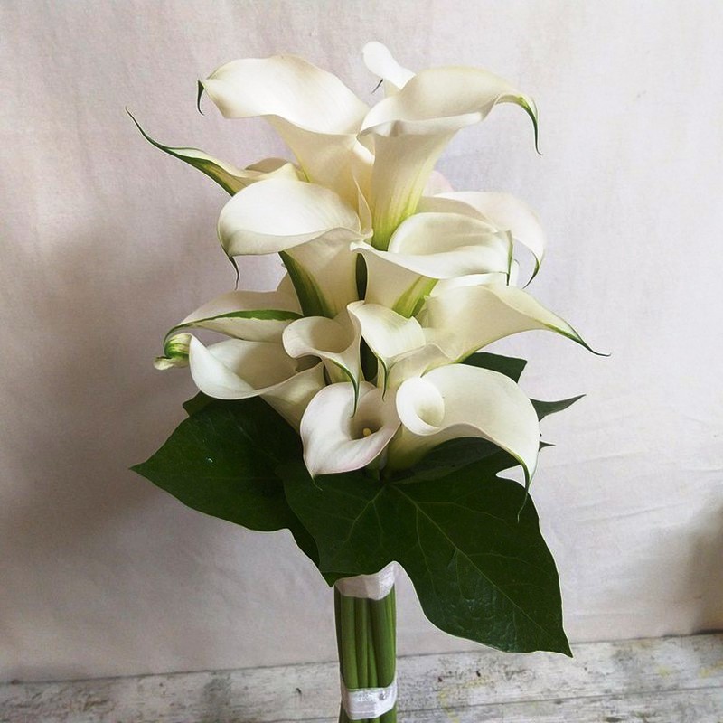 Callas branco buquê de noiva — Flores Frescas Online