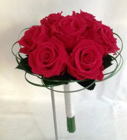 Ram de Núvia Vendela Preservat