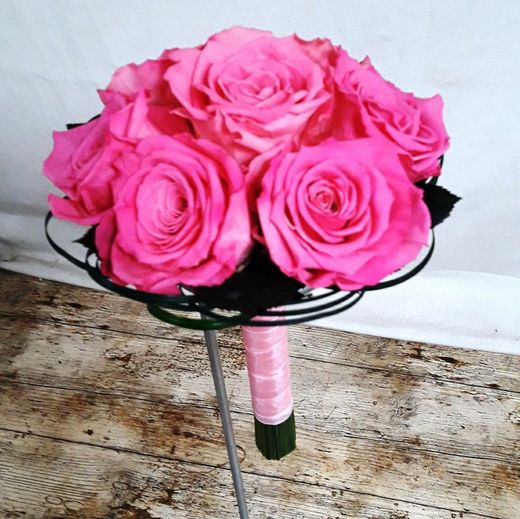 Ram de Núvia Vendela Preservat