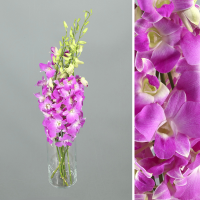 Bouquet d'orchidées Dendrobium