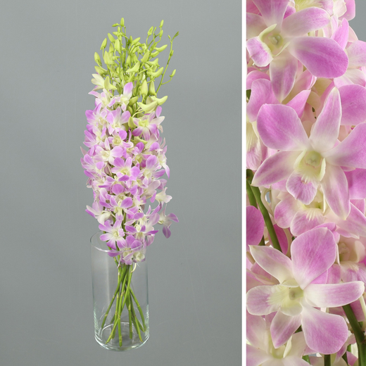 Bouquet d'orchidées Dendrobium
