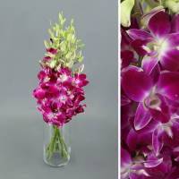 Bouquet d'orchidées Dendrobium