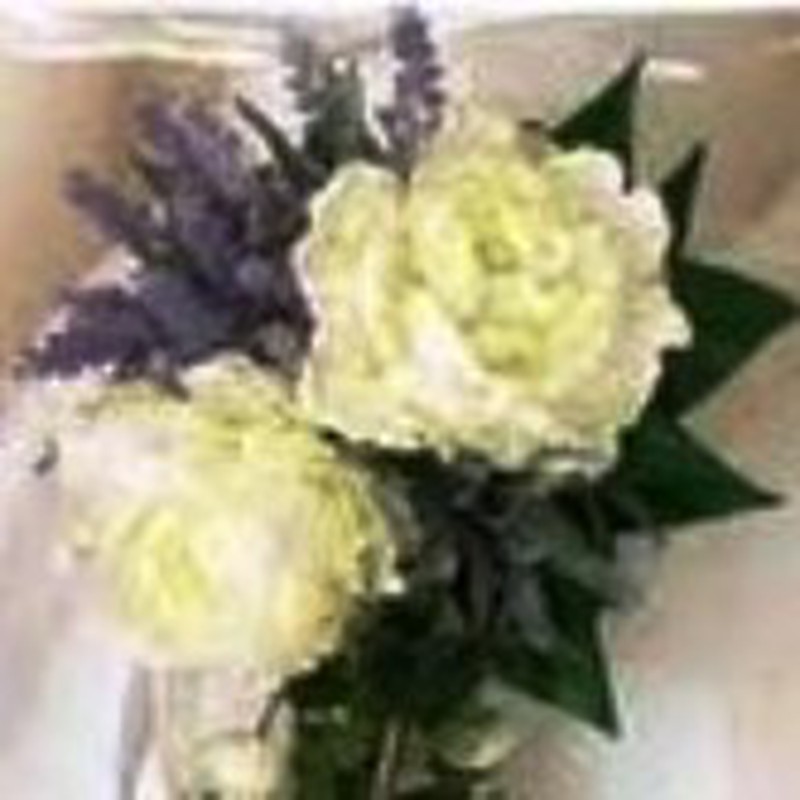 Ramo de Peonia Blanca y Lavanda — Floresfrescasonline