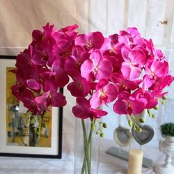 Ramo de Phalaenopsis