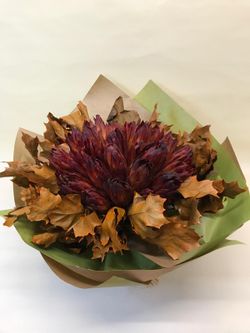 Ramo de proteas secas para Regalar
