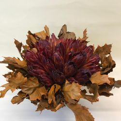 Ramo de proteas secas para Regalar