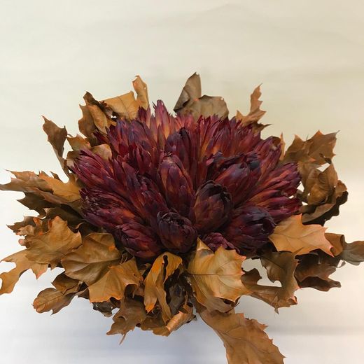 Ramo de proteas secas para Regalar