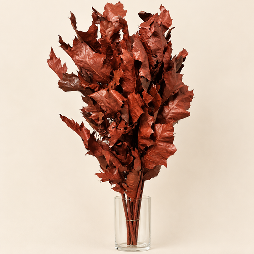 Bouquet de chêne sec 10 tiges