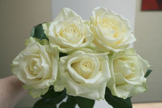 Ramo de Rosas en tu casa