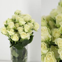 Ramo de Rosas Spray