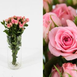 Ramo de Rosas Spray