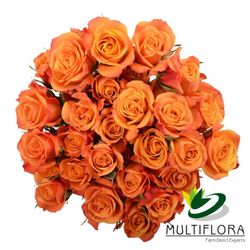 Ramo de Rosas Spray