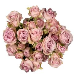 Ramo de Rosas Spray