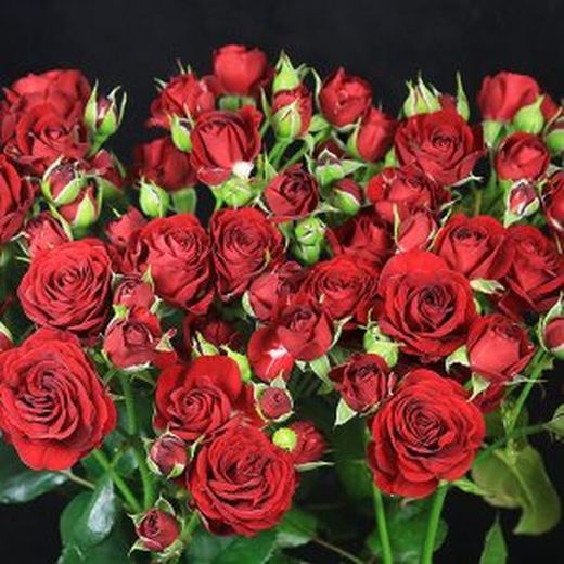 Ramo de Rosas Spray San Valentín