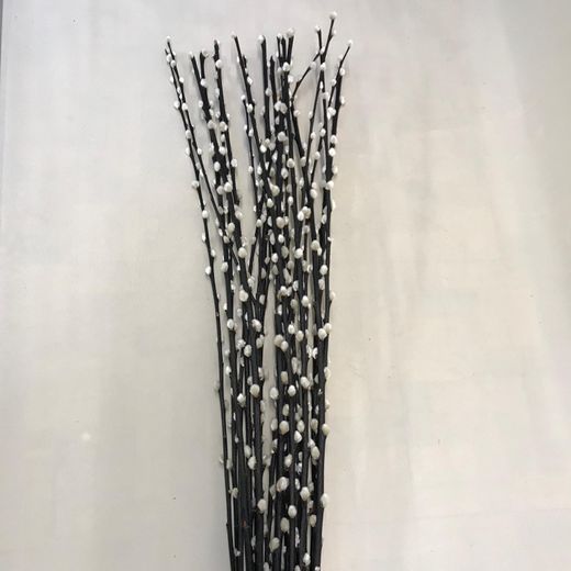 Ramo de Salix el Gato (Gatell)