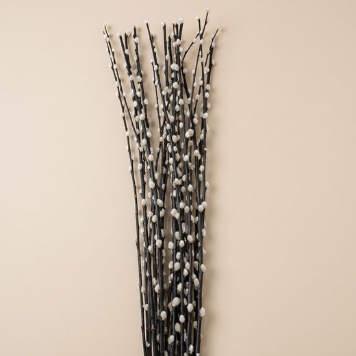 Bouquet de Salix le Chat (Gatell)