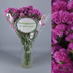 Bouquet de statice