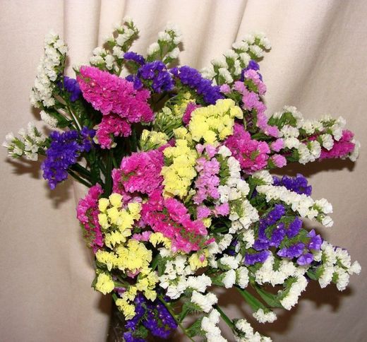Bouquet de statice