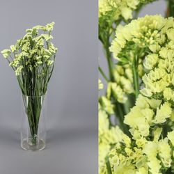 Bouquet de statice