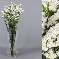 Bouquet de statice