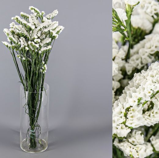 Bouquet de statice