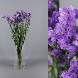 Bouquet de statice