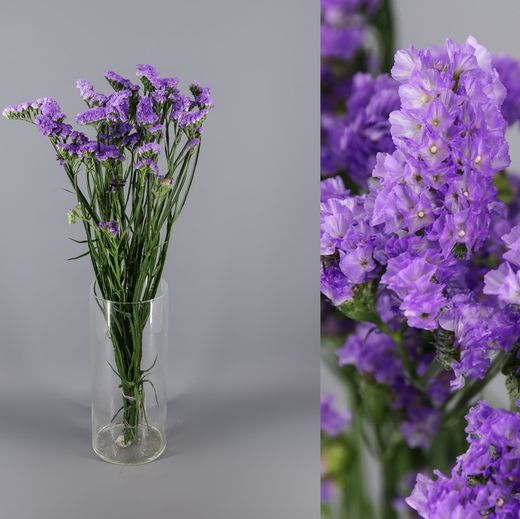 Bouquet de statice