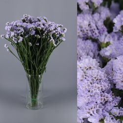 Bouquet de statice