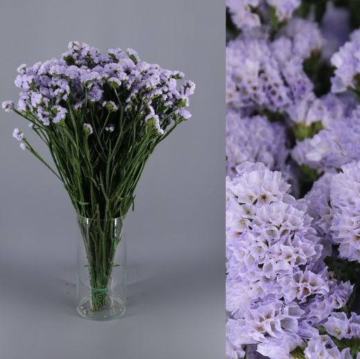 Bouquet de statice