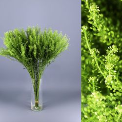 Ramo de Thlaspi Green Bell