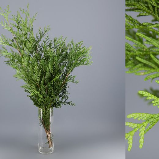 Bouquet de thuyas