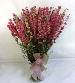Ramo Delphinium Seco
